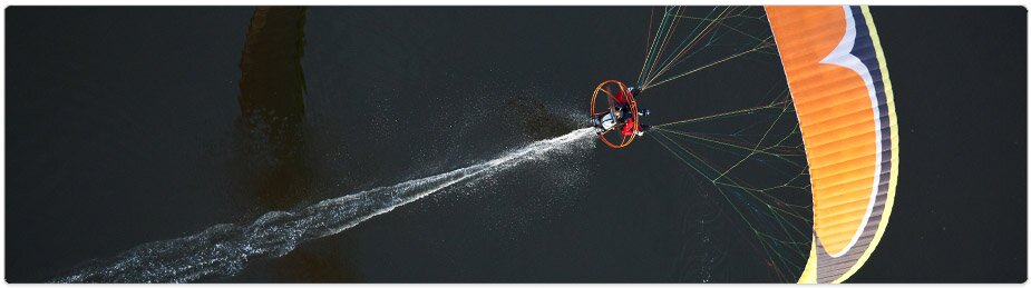 Paramania Reflex Wings