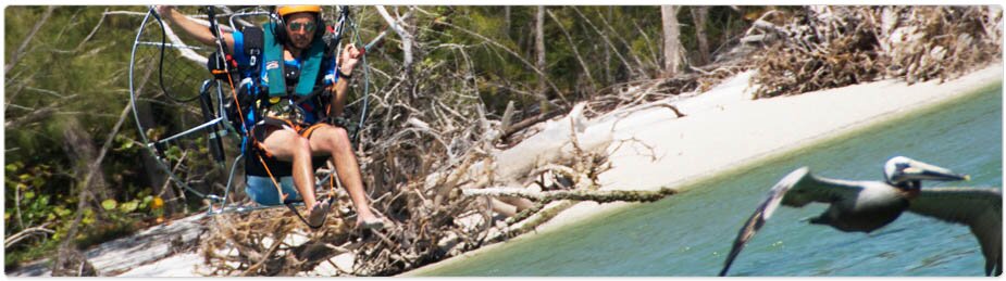 Paramania Reflex Wings