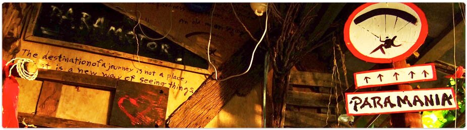 Paramania Reflex Wings