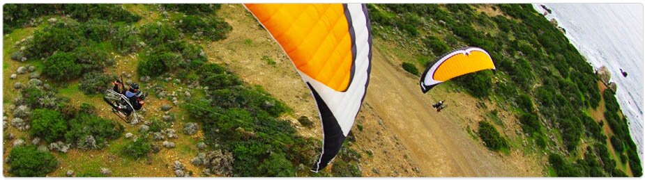 Paramania Reflex Wings