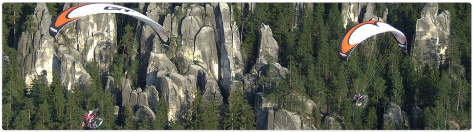 Paramania Reflex Wings