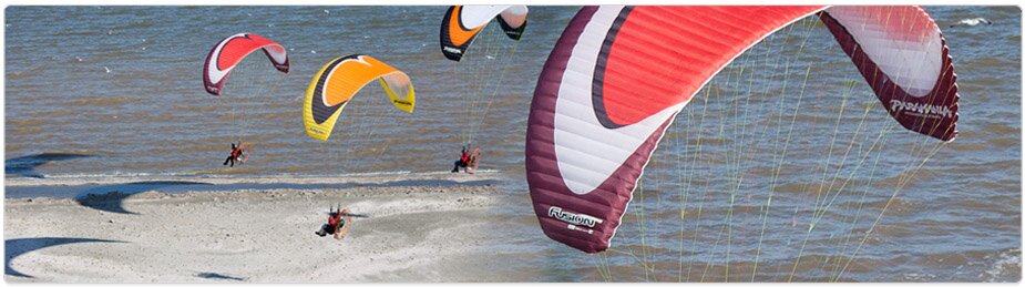 Paramania Reflex Wings