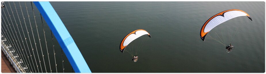 Paramania Reflex Wings