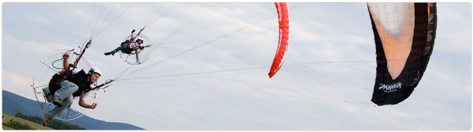 Paramania Reflex Wings