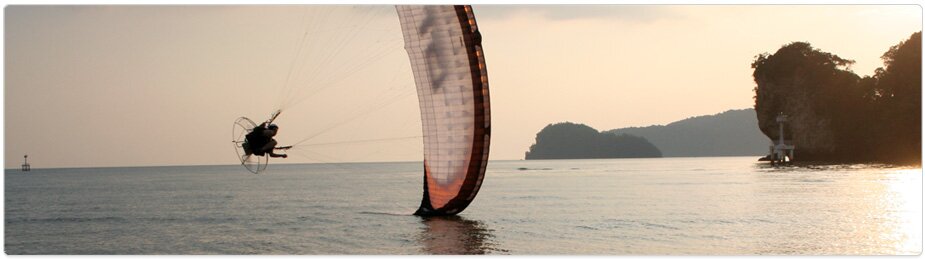 Paramania Reflex Wings