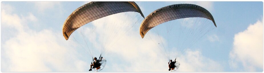 Paramania Reflex Wings