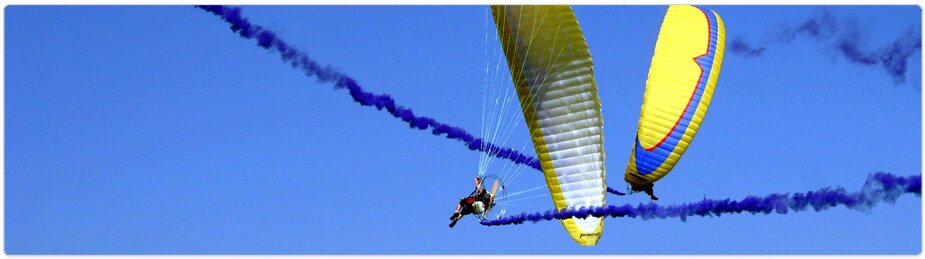 Paramania Reflex Wings